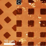 AFM Calibration Sample Grating