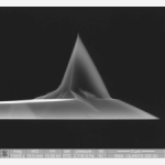 AFM Conductive Contact Cantilever
