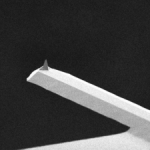 AFM Low Frequency Soft Tapping Cantilever FM-10