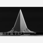 AFM Mid Frequency Tapping Cantilever NCL-30-10